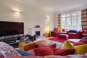 Lounge- click for photo gallery